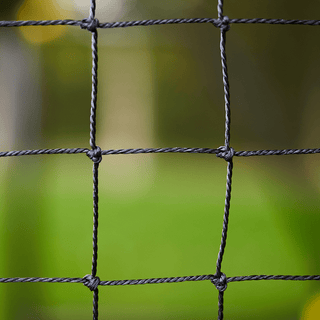 Part 9 | Strive Net