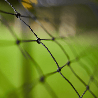 Part 9 | Strive Net